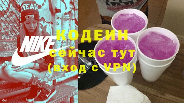 шишки Дмитров