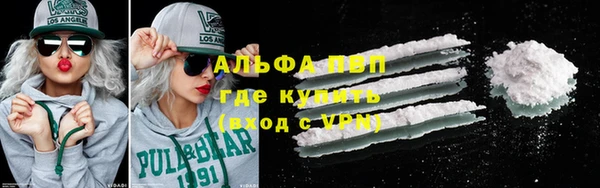 прущий лед Новозыбков