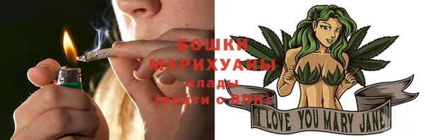 прущий лед Новозыбков