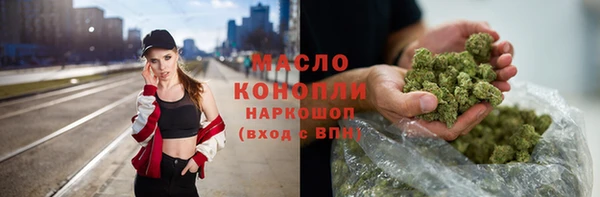 прущий лед Новозыбков