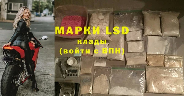 прущий лед Новозыбков