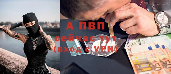 прущий лед Новозыбков