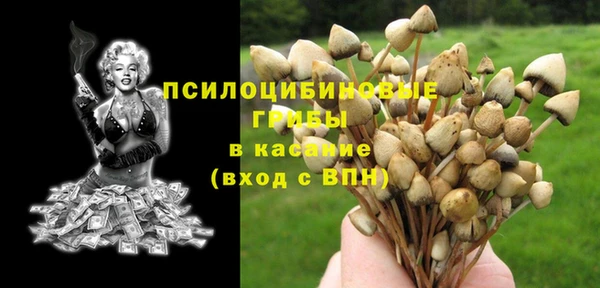 эйфоретик Нязепетровск