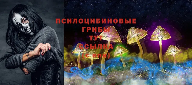 Псилоцибиновые грибы Psilocybe Лосино-Петровский