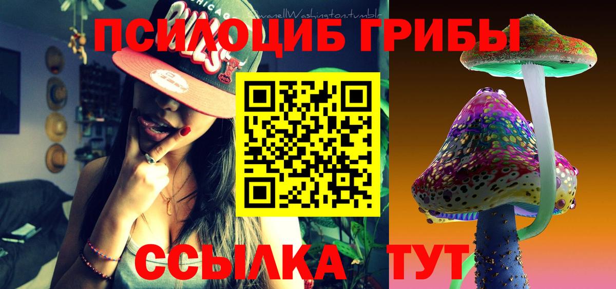 Псилоцибиновые грибы GOLDEN TEACHER  Вход с VPN  Лосино-Петровский  Галлюциногенные грибы Cubensis 