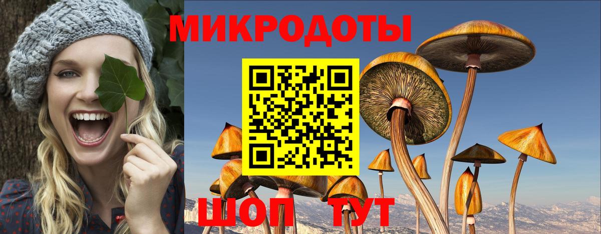 Псилоцибиновые грибы мицелий  Лосино-Петровский 